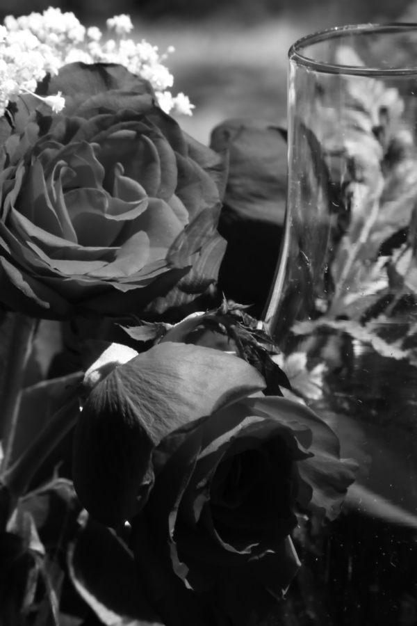 2010 04 24 IMG 9999 194
